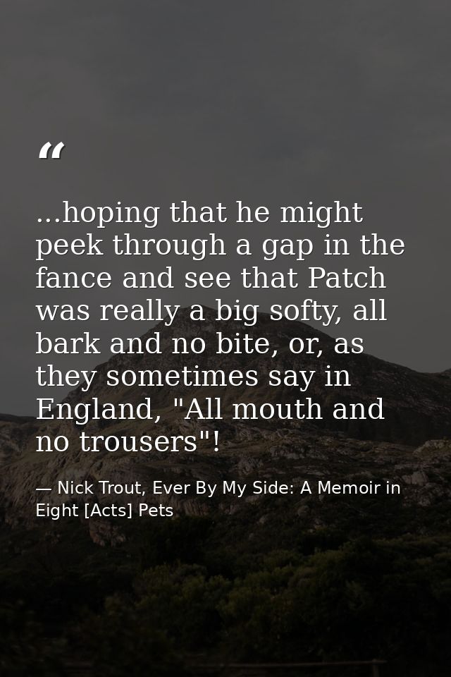 ...hoping that he might peek through a gap in the fance and see that Patch was really a big softy, all bark and no bite, — Nick Trout, Ever By My Side: A Memoir in Eight [Acts] Pets