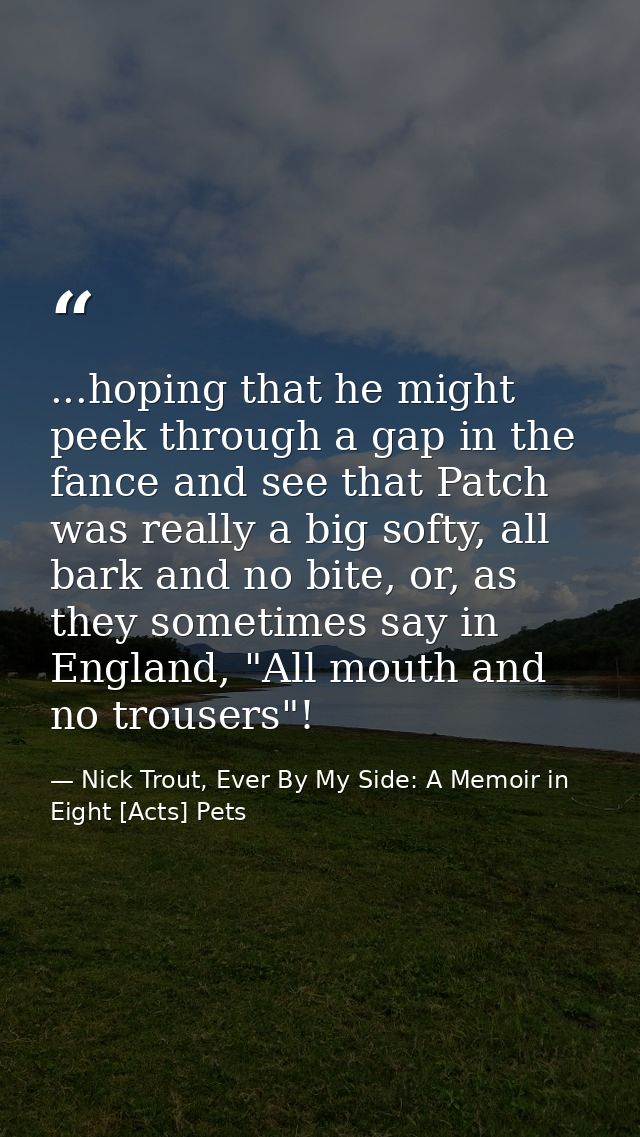 ...hoping that he might peek through a gap in the fance and see that Patch was really a big softy, all bark and no bite, — Nick Trout, Ever By My Side: A Memoir in Eight [Acts] Pets