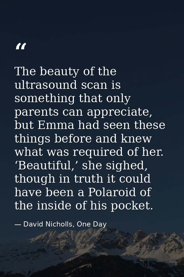 The beauty of the ultrasound scan is something that only parents can appreciate, but Emma had seen these things before a — David Nicholls, One Day