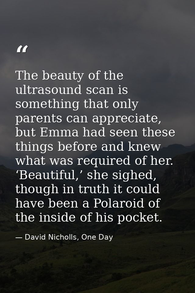 The beauty of the ultrasound scan is something that only parents can appreciate, but Emma had seen these things before a — David Nicholls, One Day