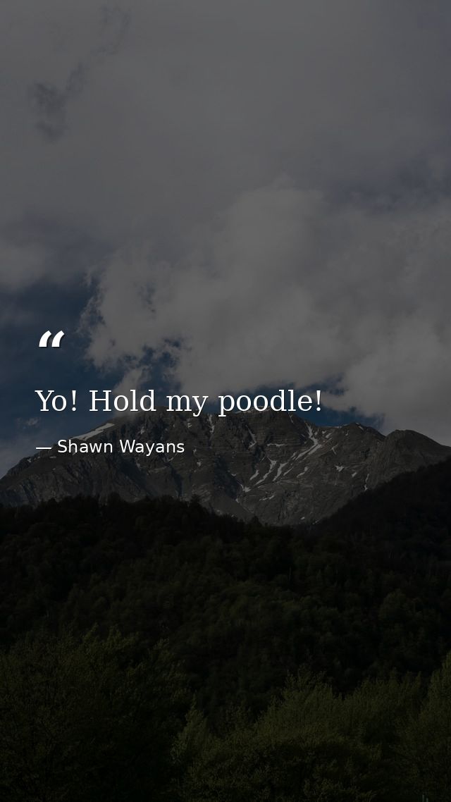 Yo! Hold my poodle! — Shawn Wayans