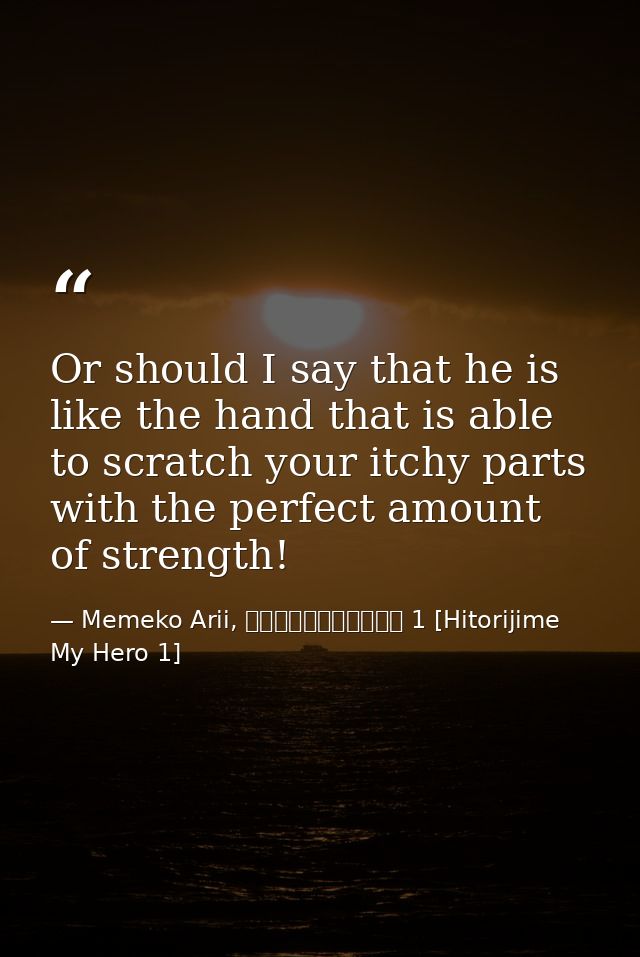 Or should I say that he is like the hand that is able to scratch your itchy parts with the perfect amount of strength! — Memeko Arii, ひとりじめマイヒーロー 1 [Hitorijime My Hero 1]