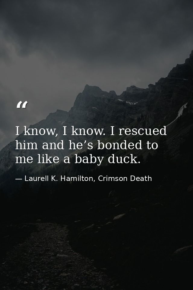 I know, I know. I rescued him and he’s bonded to me like a baby duck. — Laurell K. Hamilton, Crimson Death