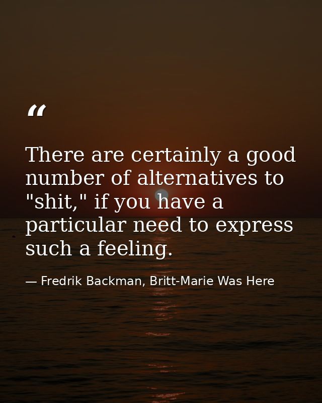 There are certainly a good number of alternatives to "shit," if you have a particular need to express such a feeling. — Fredrik Backman, Britt-Marie Was Here