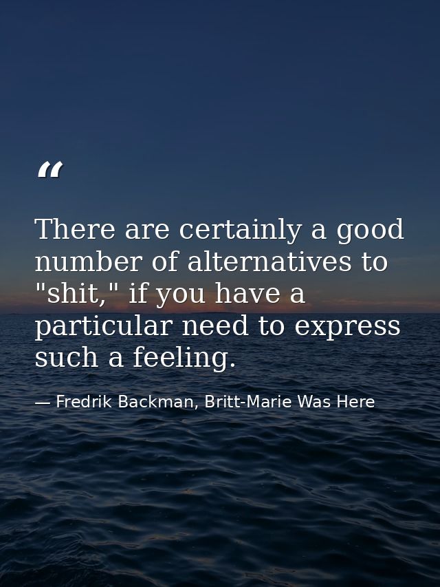 There are certainly a good number of alternatives to "shit," if you have a particular need to express such a feeling. — Fredrik Backman, Britt-Marie Was Here