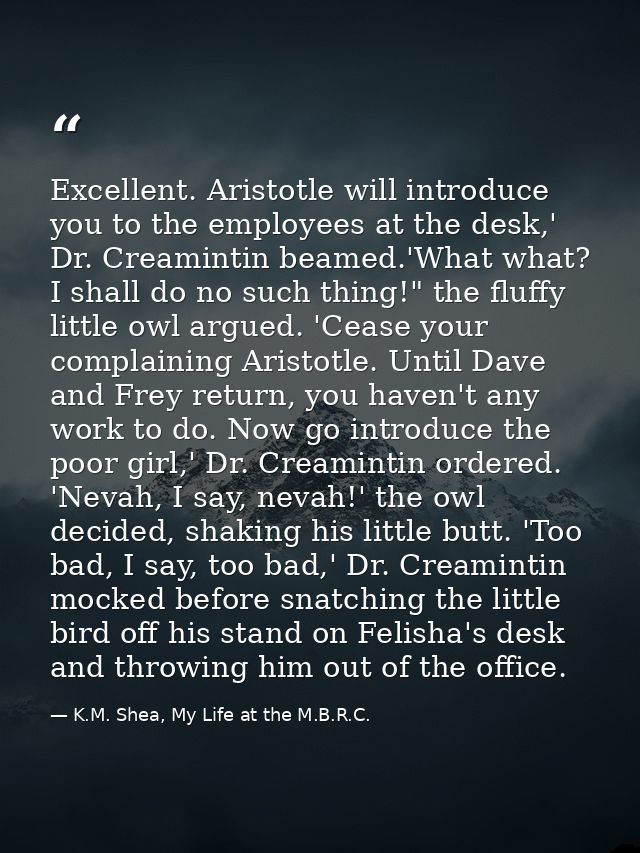 Excellent. Aristotle will introduce you to the employees at the desk,' Dr. Creamintin beamed.'What what? I shall do no s — K.M. Shea, My Life at the M.B.R.C.