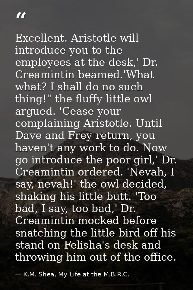Excellent. Aristotle will introduce you to the employees at the desk,' Dr. Creamintin beamed.'What what? I shall do no s — K.M. Shea, My Life at the M.B.R.C.