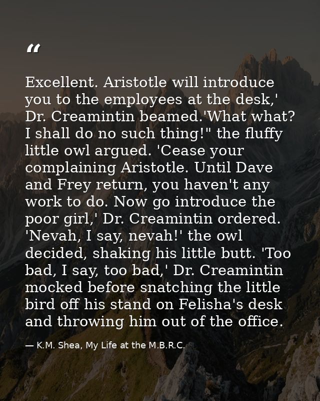 Excellent. Aristotle will introduce you to the employees at the desk,' Dr. Creamintin beamed.'What what? I shall do no s — K.M. Shea, My Life at the M.B.R.C.