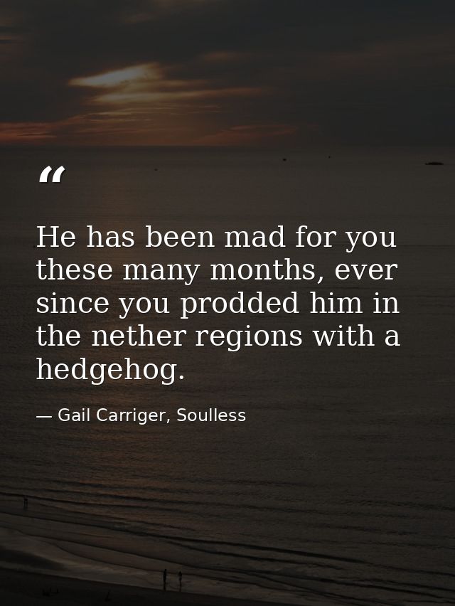 He has been mad for you these many months, ever since you prodded him in the nether regions with a hedgehog. — Gail Carriger, Soulless