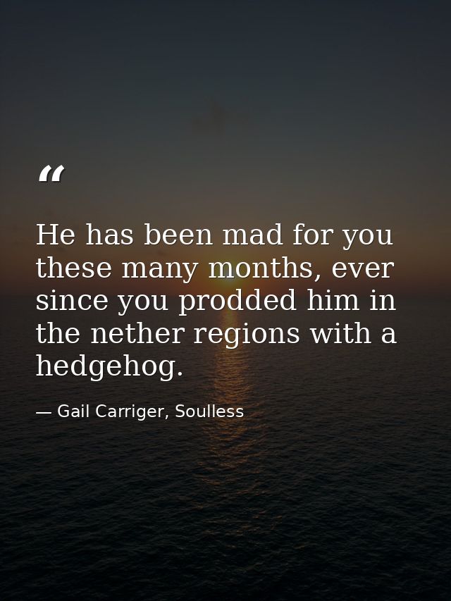 He has been mad for you these many months, ever since you prodded him in the nether regions with a hedgehog. — Gail Carriger, Soulless