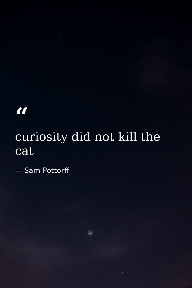 curiosity did not kill the cat — Sam Pottorff