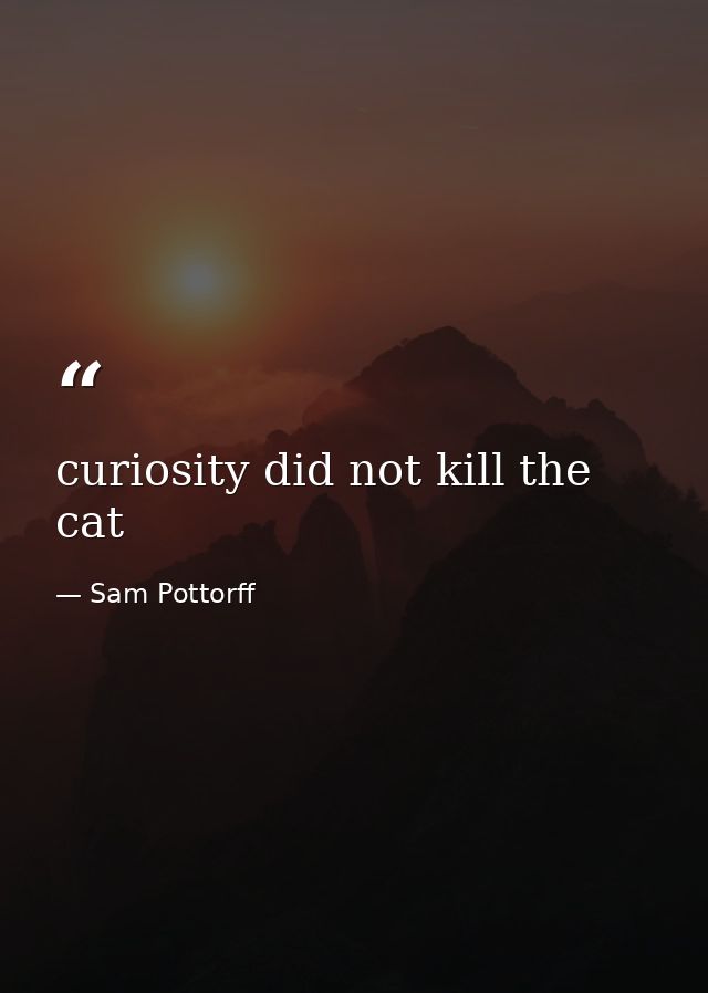 curiosity did not kill the cat — Sam Pottorff