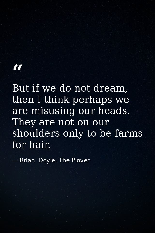 But if we do not dream, then I think perhaps we are misusing our heads. They are not on our shoulders only to be farms f — Brian  Doyle, The Plover