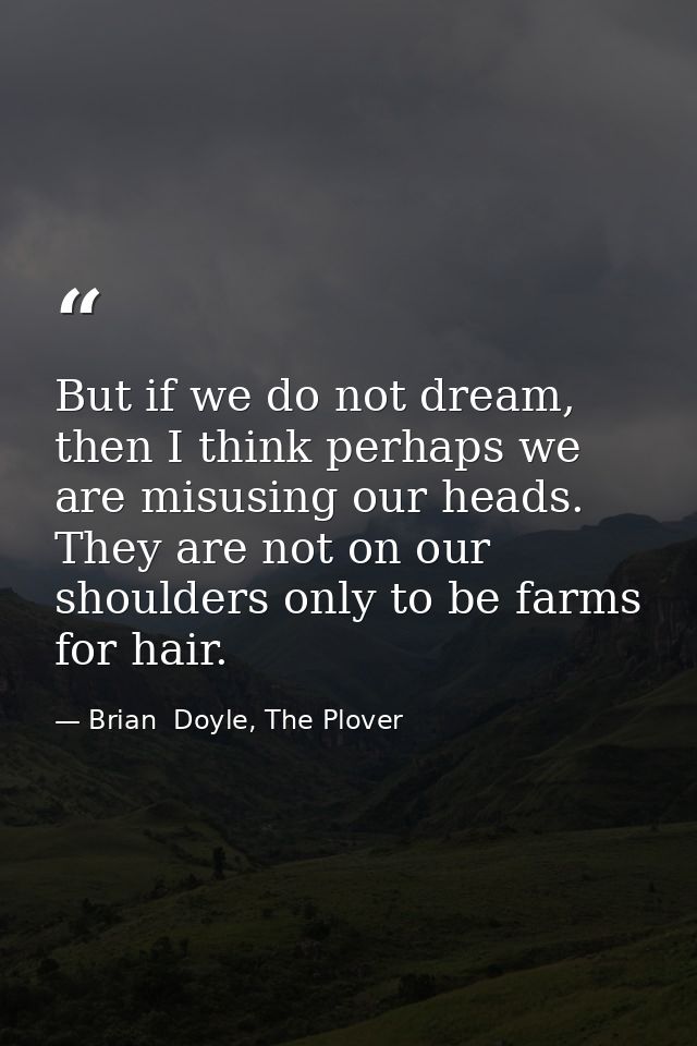 But if we do not dream, then I think perhaps we are misusing our heads. They are not on our shoulders only to be farms f — Brian  Doyle, The Plover