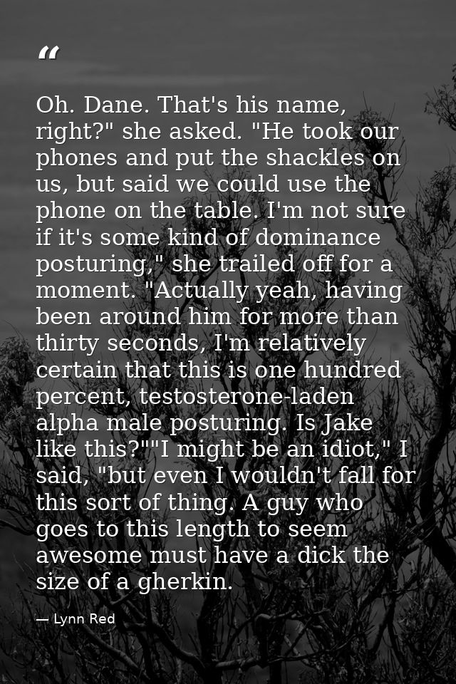 Oh. Dane. That's his name, right?" she asked. "He took our phones and put the shackles on us, but said we could use the  — Lynn Red