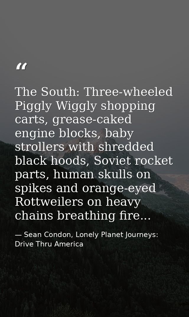 The South: Three-wheeled Piggly Wiggly shopping carts, grease-caked engine blocks, baby strollers with shredded black ho — Sean Condon, Lonely Planet Journeys: Drive Thru America