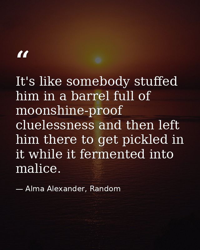 It's like somebody stuffed him in a barrel full of moonshine-proof cluelessness and then left him there to get pickled i — Alma Alexander, Random