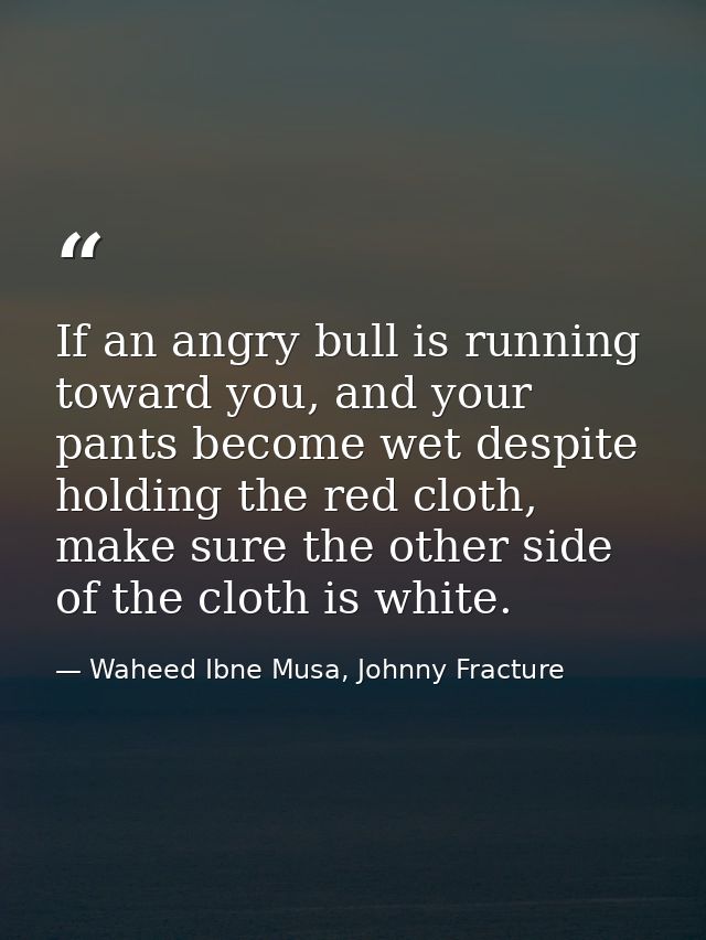 If an angry bull is running toward you, and your pants become wet despite holding the red cloth, make sure the other sid — Waheed Ibne Musa, Johnny Fracture