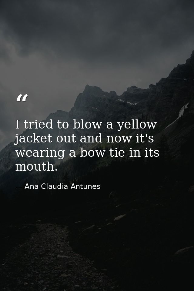 I tried to blow a yellow jacket out and now it's wearing a bow tie in its mouth. — Ana Claudia Antunes