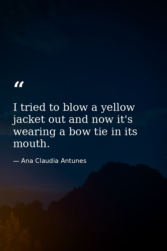 I tried to blow a yellow jacket out and now it's wearing a bow tie in its mouth. — Ana Claudia Antunes