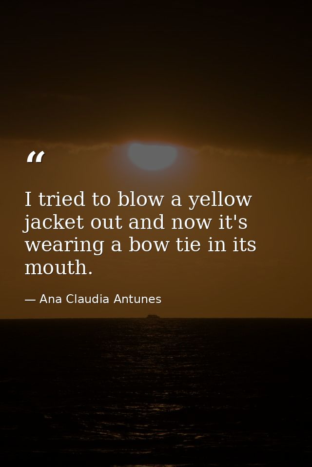I tried to blow a yellow jacket out and now it's wearing a bow tie in its mouth. — Ana Claudia Antunes