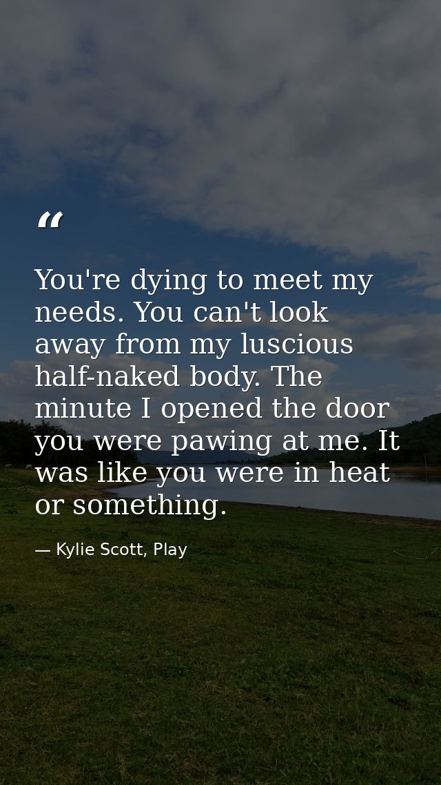 You're dying to meet my needs. You can't look away from my luscious half-naked body. The minute I opened the door you we — Kylie Scott, Play