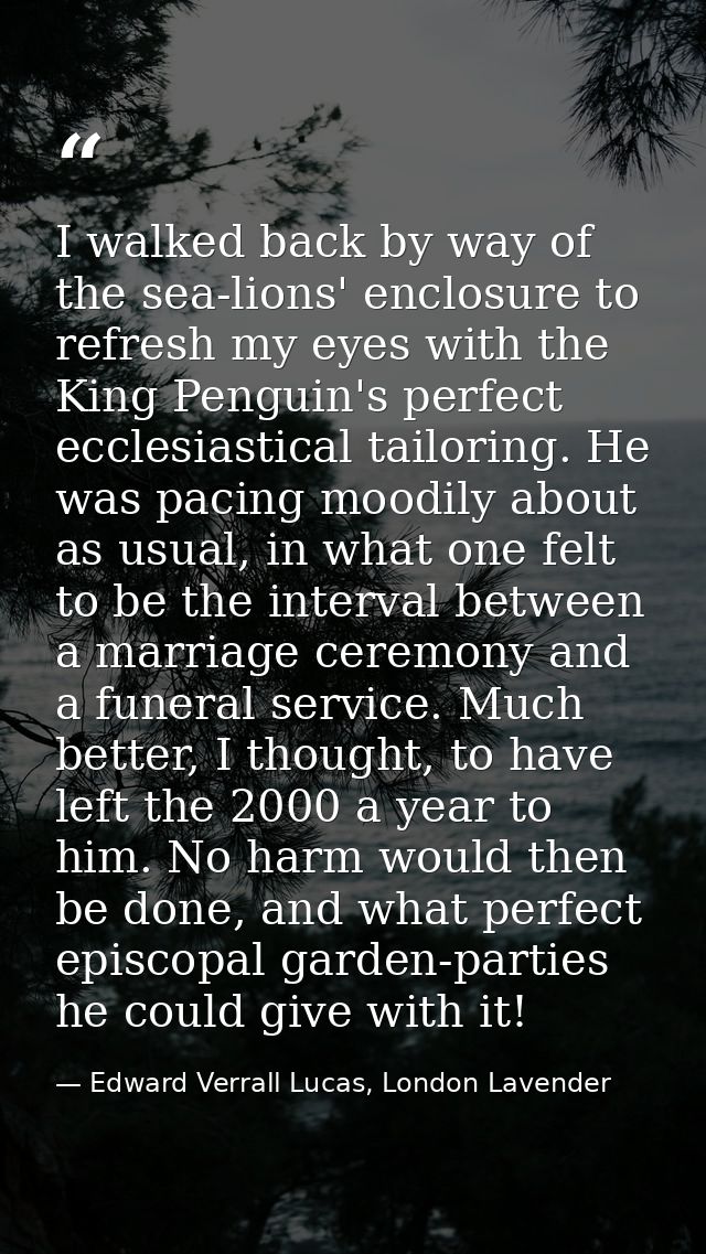I walked back by way of the sea-lions' enclosure to refresh my eyes with the King Penguin's perfect ecclesiastical tailo — Edward Verrall Lucas, London Lavender
