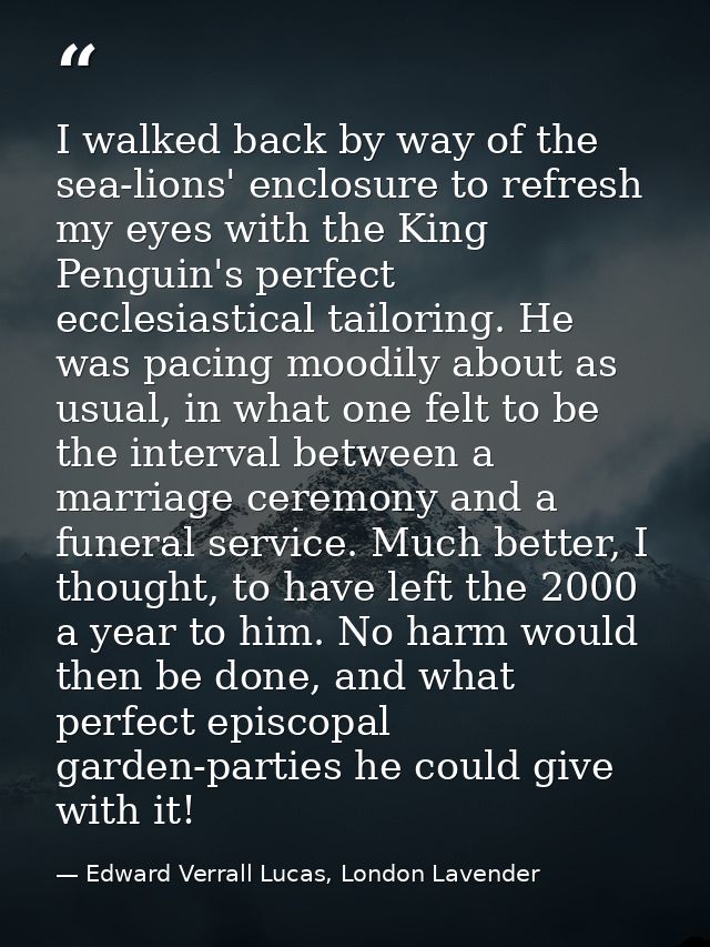 I walked back by way of the sea-lions' enclosure to refresh my eyes with the King Penguin's perfect ecclesiastical tailo — Edward Verrall Lucas, London Lavender