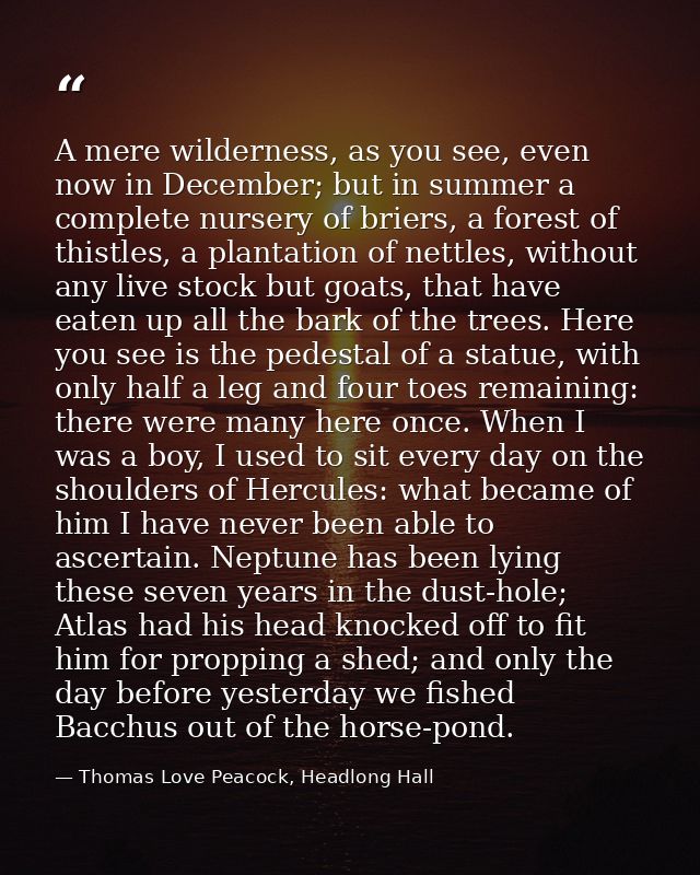 A mere wilderness, as you see, even now in December; but in summer a complete nursery of briers, a forest of thistles, a — Thomas Love Peacock, Headlong Hall