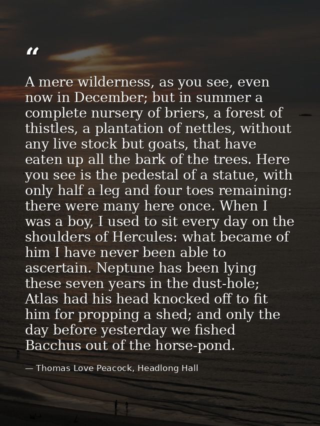 A mere wilderness, as you see, even now in December; but in summer a complete nursery of briers, a forest of thistles, a — Thomas Love Peacock, Headlong Hall