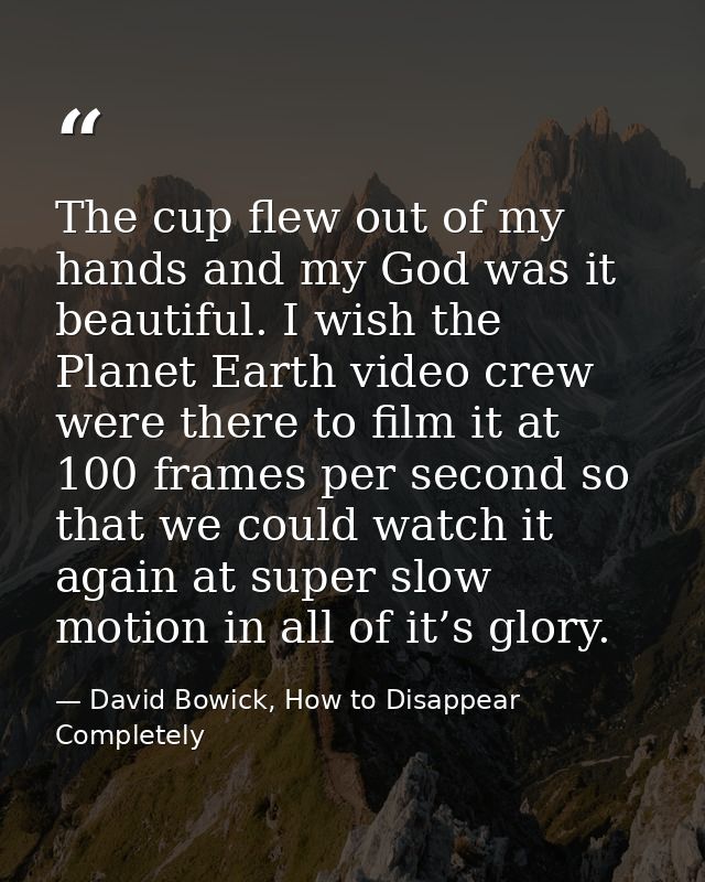 The cup flew out of my hands and my God was it beautiful. I wish the Planet Earth video crew were there to film it at 10 — David Bowick, How to Disappear Completely
