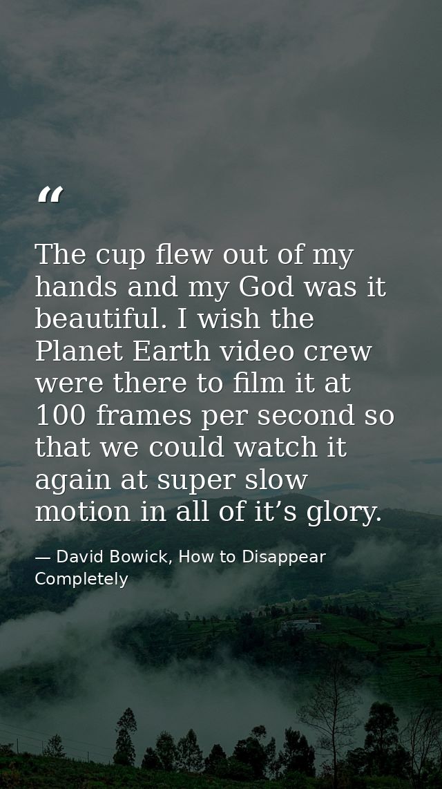 The cup flew out of my hands and my God was it beautiful. I wish the Planet Earth video crew were there to film it at 10 — David Bowick, How to Disappear Completely