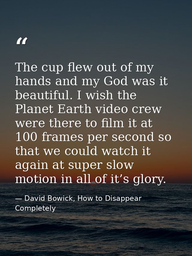 The cup flew out of my hands and my God was it beautiful. I wish the Planet Earth video crew were there to film it at 10 — David Bowick, How to Disappear Completely
