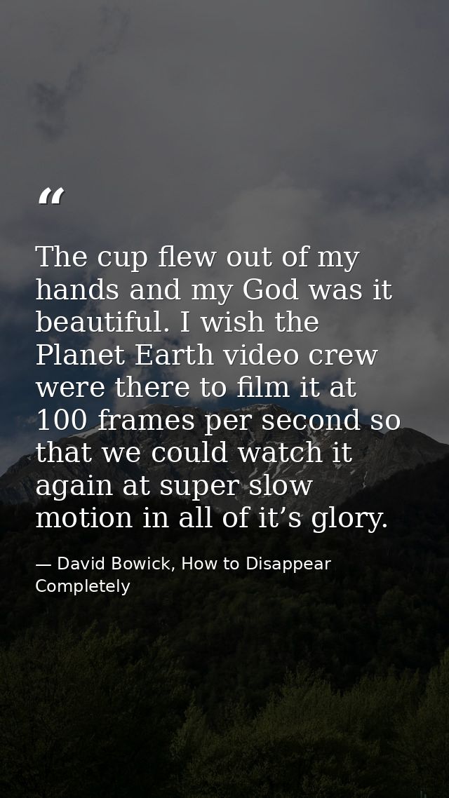 The cup flew out of my hands and my God was it beautiful. I wish the Planet Earth video crew were there to film it at 10 — David Bowick, How to Disappear Completely