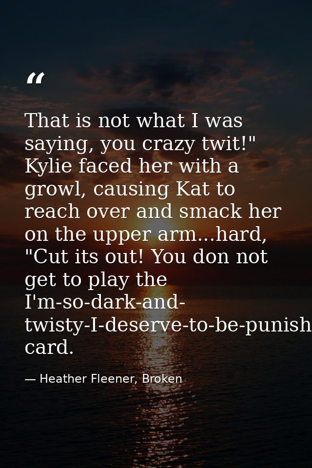 That is not what I was saying, you crazy twit!" Kylie faced her with a growl, causing Kat to reach over and smack her on — Heather Fleener, Broken