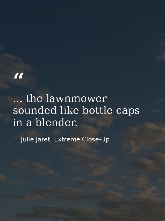 ... the lawnmower sounded like bottle caps in a blender. — Julie Jaret, Extreme Close-Up