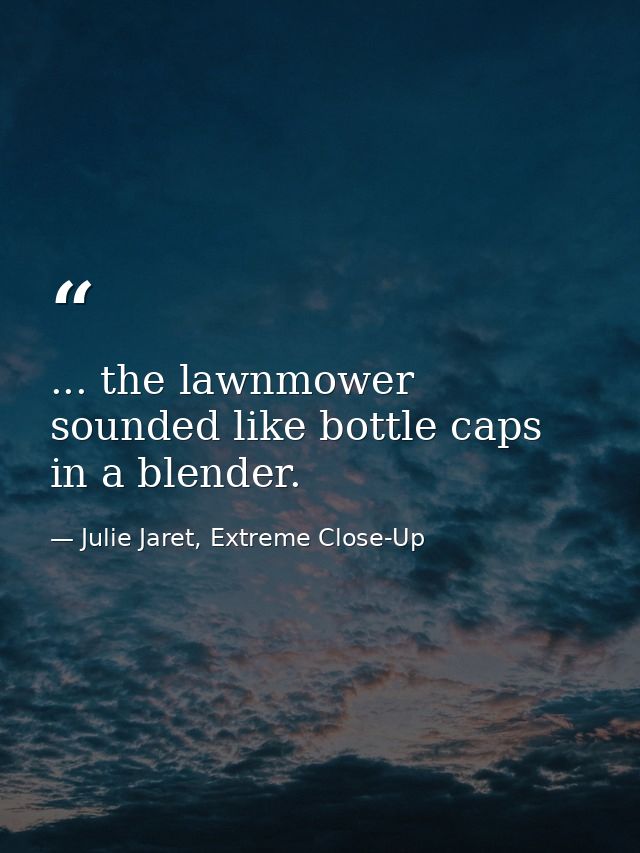 ... the lawnmower sounded like bottle caps in a blender. — Julie Jaret, Extreme Close-Up