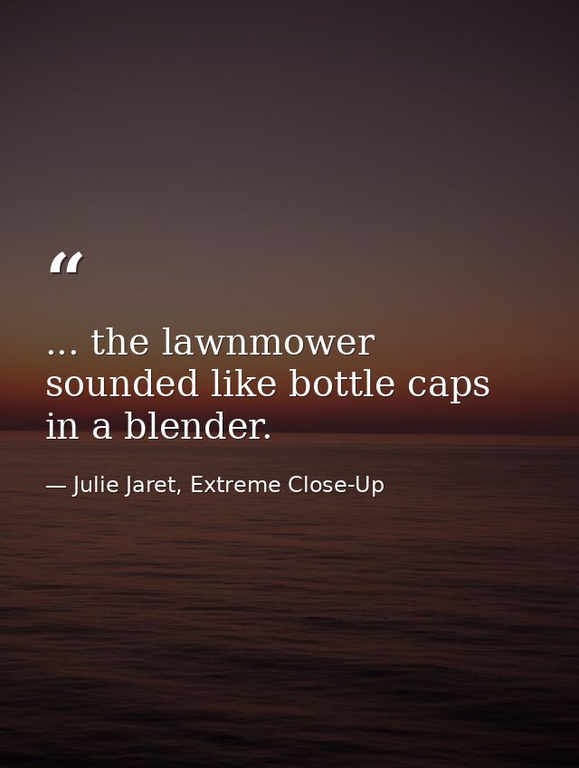 ... the lawnmower sounded like bottle caps in a blender. — Julie Jaret, Extreme Close-Up