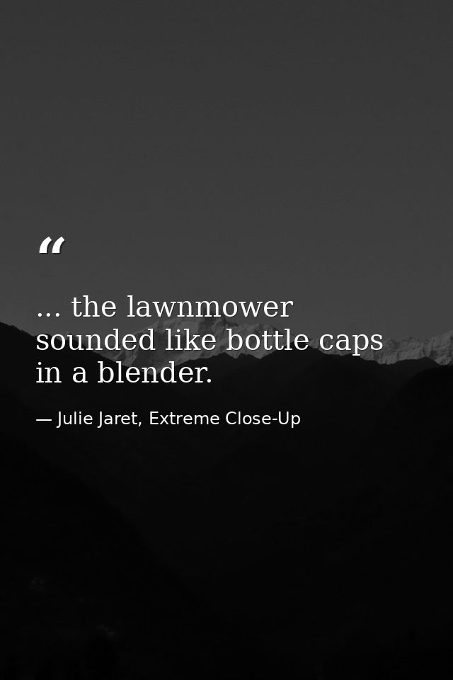 ... the lawnmower sounded like bottle caps in a blender. — Julie Jaret, Extreme Close-Up