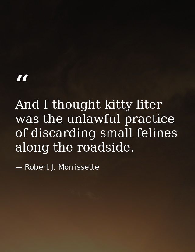 And I thought kitty liter was the unlawful practice of discarding small felines along the roadside. — Robert J. Morrissette