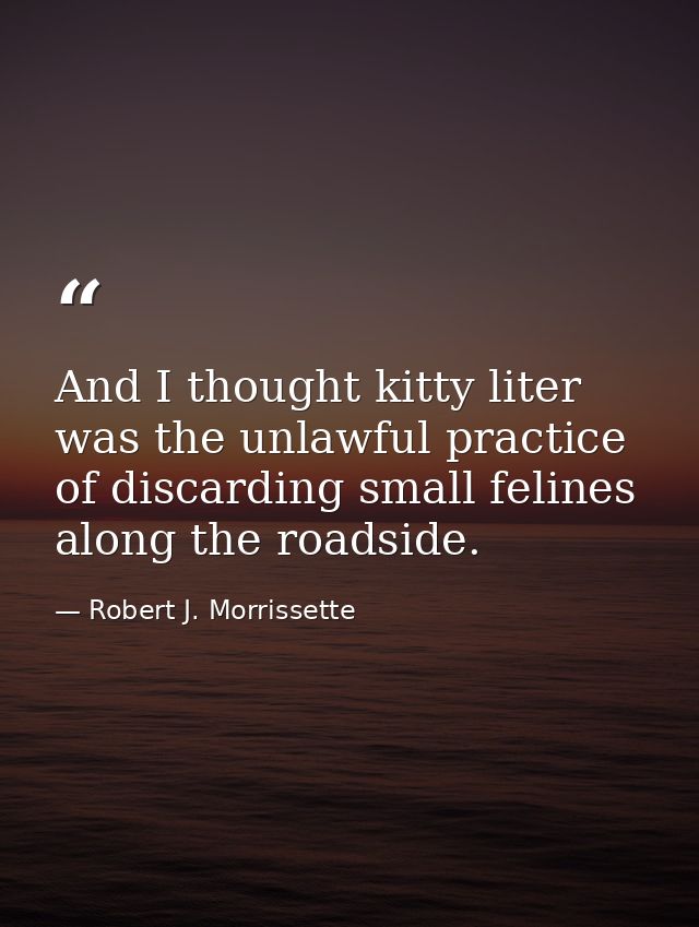 And I thought kitty liter was the unlawful practice of discarding small felines along the roadside. — Robert J. Morrissette