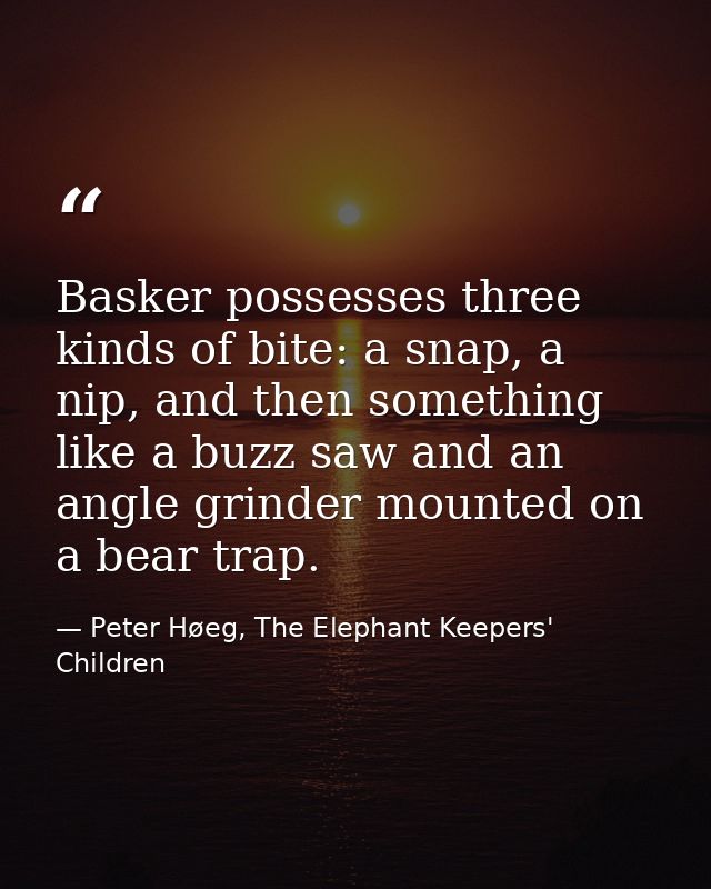 Basker possesses three kinds of bite: a snap, a nip, and then something like a buzz saw and an angle grinder mounted on  — Peter Høeg, The Elephant Keepers' Children