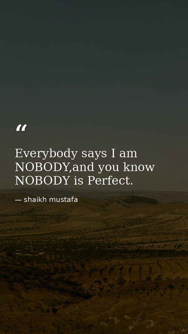 Everybody says I am NOBODY,and you know NOBODY is Perfect. — shaikh mustafa