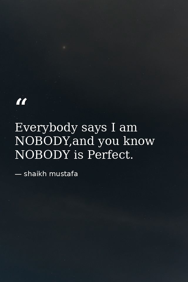 Everybody says I am NOBODY,and you know NOBODY is Perfect. — shaikh mustafa