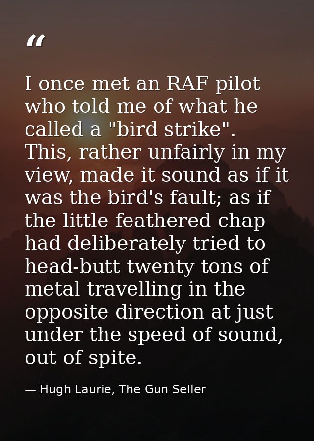 I once met an RAF pilot who told me of what he called a "bird strike". This, rather unfairly in my view, made it sound a — Hugh Laurie, The Gun Seller