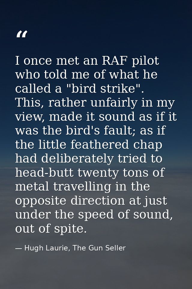 I once met an RAF pilot who told me of what he called a "bird strike". This, rather unfairly in my view, made it sound a — Hugh Laurie, The Gun Seller