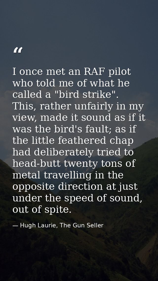 I once met an RAF pilot who told me of what he called a "bird strike". This, rather unfairly in my view, made it sound a — Hugh Laurie, The Gun Seller