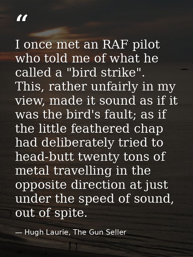 I once met an RAF pilot who told me of what he called a "bird strike". This, rather unfairly in my view, made it sound a — Hugh Laurie, The Gun Seller