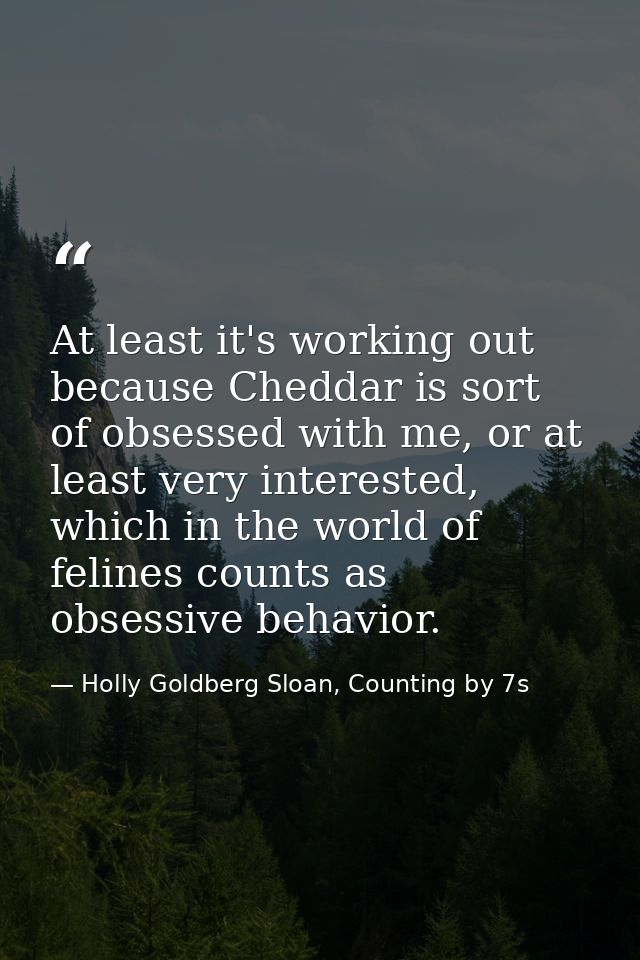 At least it's working out because Cheddar is sort of obsessed with me, or at least very interested, which in the world o — Holly Goldberg Sloan, Counting by 7s