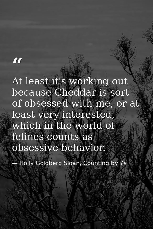 At least it's working out because Cheddar is sort of obsessed with me, or at least very interested, which in the world o — Holly Goldberg Sloan, Counting by 7s